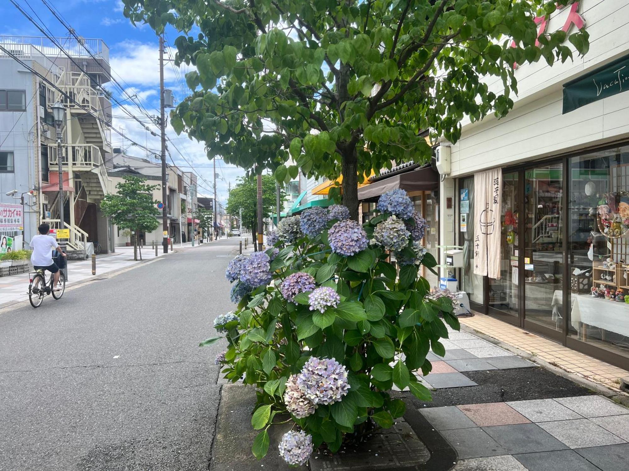 Yamagata KYOMACHI HATAGO DAITOKUJI Kyoto Bagian luar foto